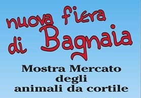 Mostra mercato animali da cortile alla Nuova Fiera di Bagnaia