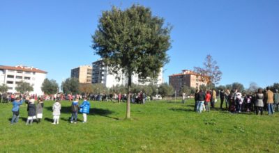 Giornata nazionale degli alberi, tante iniziative e un concorso per le scuole