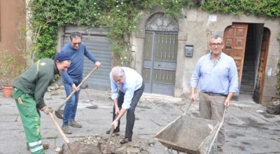 GIORNATA NAZIONE DEGLI ALBERI E INIZIATIVA ALBERI PER IL FUTURO, MESSI A DIMORA I PRIMI DUE PRUNU