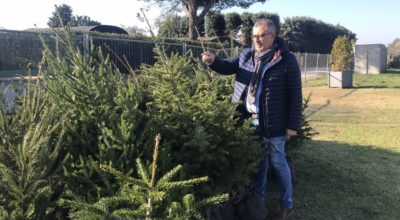 SALVA IL TUO ALBERO, CINQUANTA NUOVI ALBERI RECUPERATI