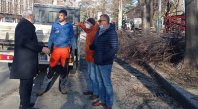 Potatura alberi a viale Trento e pulizia bordi stradali, proseguono gli interventi di manutenzione al verde pubblico