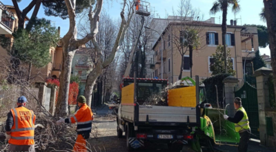 Potature, tra gli interventi previsti nei prossimi giorni, quelli in via Santa Maria in Gradi, piazza della Morte, San Faustino e via del Paradosso