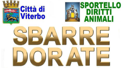 Sbarre dorate, a palazzo dei Priori mercoledi 15 dicembre incontro sulla prevenzione del randagismo