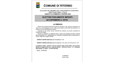 Elezioni europee, elettori fisicamente impediti a esprimere il voto. Tutte le informazioni