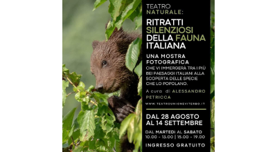 Ritratti silenziosi della fauna italiana. Al ridotto dell’Unione la mostra fotografica di Alessandro Petricca