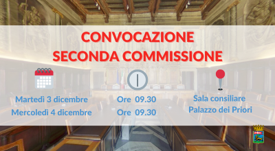 Seconda commissione in riunione